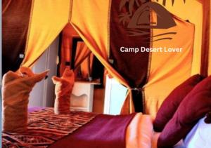 Camp Lovers Desert