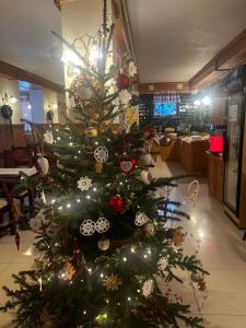 Willa Alpejska - sauna i jacuzzi w cenie