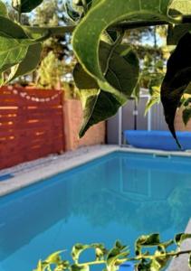 Hotel Chihuahua Garden