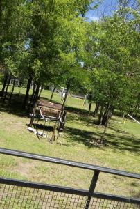 Bosque Encantado Cabañas