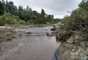 Bosque Encantado Cabañas