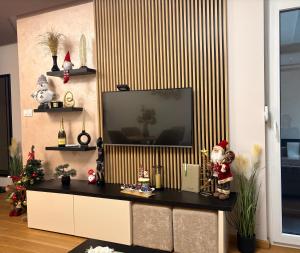 Soul Apartment Vrnjačka Banja