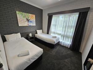 투움바 Blue Violet Motor Inn 3성급 호텔 스위트룸