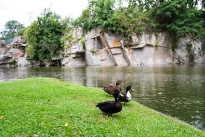 Carrière de la Tour