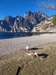 Casa Tecla, bright apartment in a single house