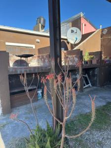 Complejo de departamentos con vista al mar