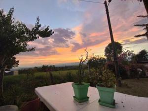 Alojamiento campestre Betania en el corazón del Quindio Espectacular!