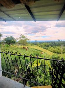 Alojamiento campestre Betania en el corazón del Quindio Espectacular!