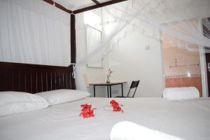 Heros Villa Mirissa