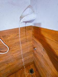 Mango garden Safari paradise