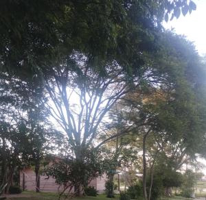 Casa de Alquiler Aline