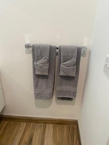 Luxury Northern Liberties Living