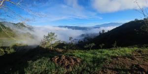 Encanto de la Montaña