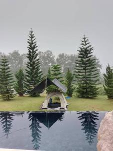 Sa Prung on the mountain - สะพรั่งกลางขุนเขา