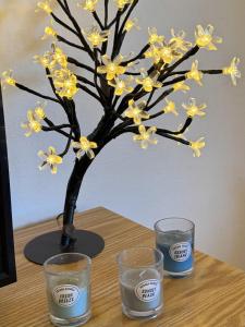 Casa acolhedora em São Sebastião - perto do centro