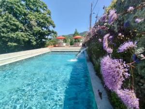 Collares Sintra Petit Palais