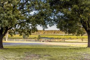 Solterra & Vine I The Homestead I Bendigo