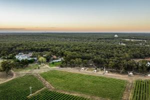 Solterra & Vine I The Homestead I Bendigo