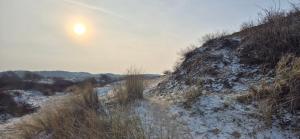 Tiny Villa de Haas met Infraroodsauna