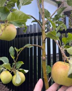 Private room 12mins from the airport !Stay&Spa