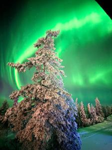 AuroraLevi Suites Utsuvaara Northern Lights Retreat, Ski-In-out, 2 ski pass included to price