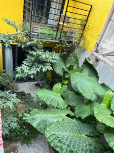 ỐC Homestay Cat Ba