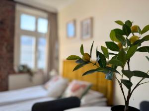 Apartamenty Piekary 11 przy Wiśle by Rentoom