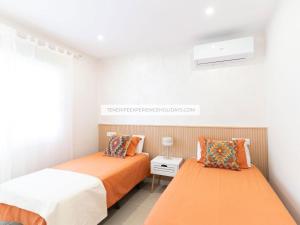 blue dream experience