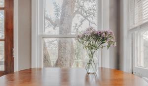 Magical Creekside Treehouse Walk to Moody Center & UT Football Games