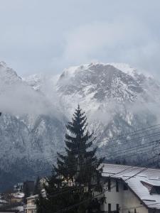 Pensiune Restaurant Sfinx