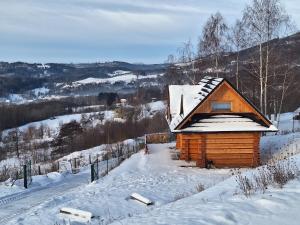 Domek Muflon w Górach Sowich