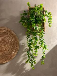 Lesbase Female 8-Bed Room