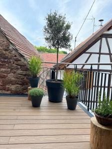 Maison village, proche aéroport Strasbourg Entzheim , idéale déplacement professionnel