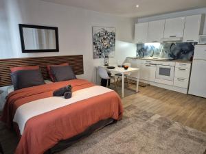 Studio Vieux-Port Marseille Quai Rive Neuve