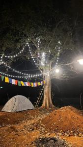 Tibetan Valley Camp Site - Similipal, Strawberry Farm