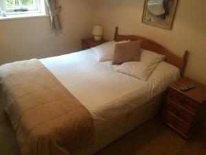 Single Room room in The Winchfield Inn