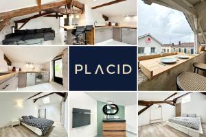 Les Remparts de Pitrac - Au Cœur de lHyper Centre