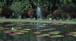 Hotel O Mahagoni House Syariah