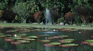 Hotel O Mahagoni House Syariah