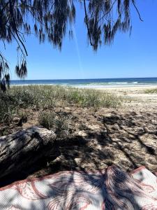 Designer Tiny home in Crabbes Creek