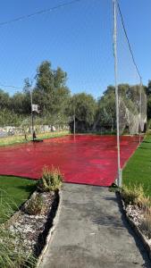 Casa de Vacanta Nufarul Crisan