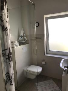 Strandhaus-Seeschwalbe