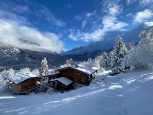Chalet Mountain Vibes