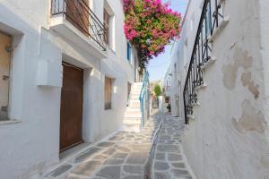 Βougainvillea house