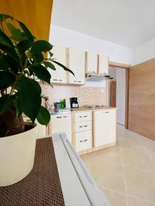 Vinko in Rovinj - Istrien