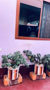 Osim Lodge City Centre