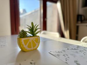 Przy Ratuszu Idealny dla par Dzikie wino by Rentoom