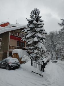 Willa M cisza w centrum miasta