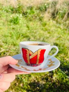 Vardio Apartments Sea View Near Dubrovnik