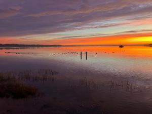 3 Bed in Havant oc-t34675